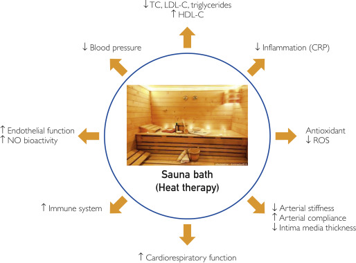Sauna vs Hot Tub Graphic