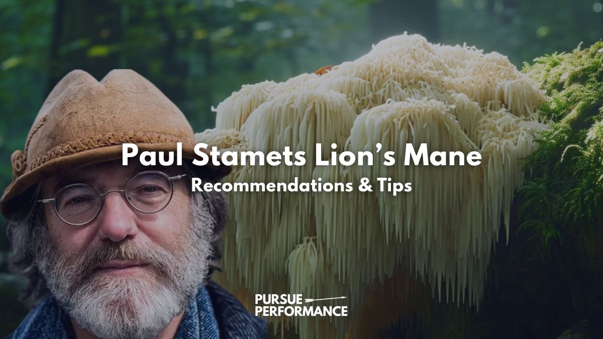 Paul Stamets Lions Mane, Featured Image