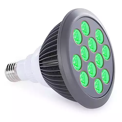 Green Light Therapy Bulb by Hooga